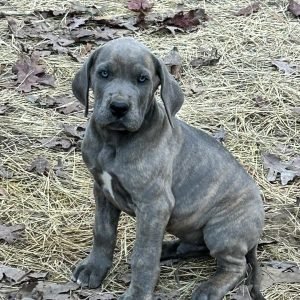 garnerdanes_1702744418_3259178861257476987_3478925581